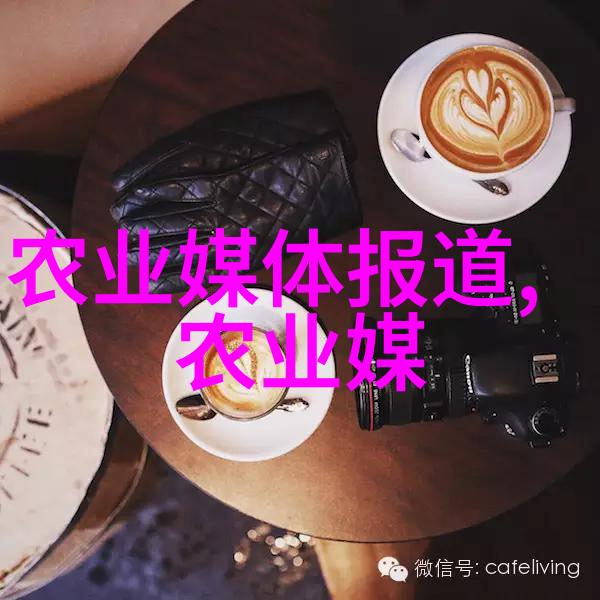 门锁凶手为什么每晚抱着女主-夜守的秘密解开凶手抱女主之谜