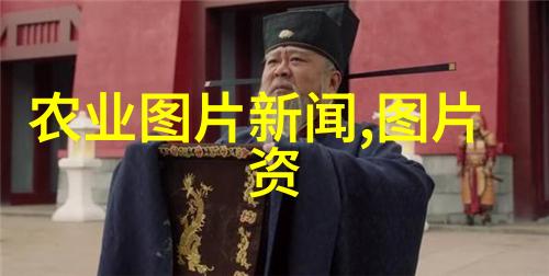 兔子养殖技术我的小朋友们来看看我们如何把它们养得高大威武