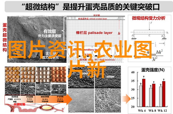 黄鳝养殖技术全书精选黄鳝饲养知识与实用养殖技巧