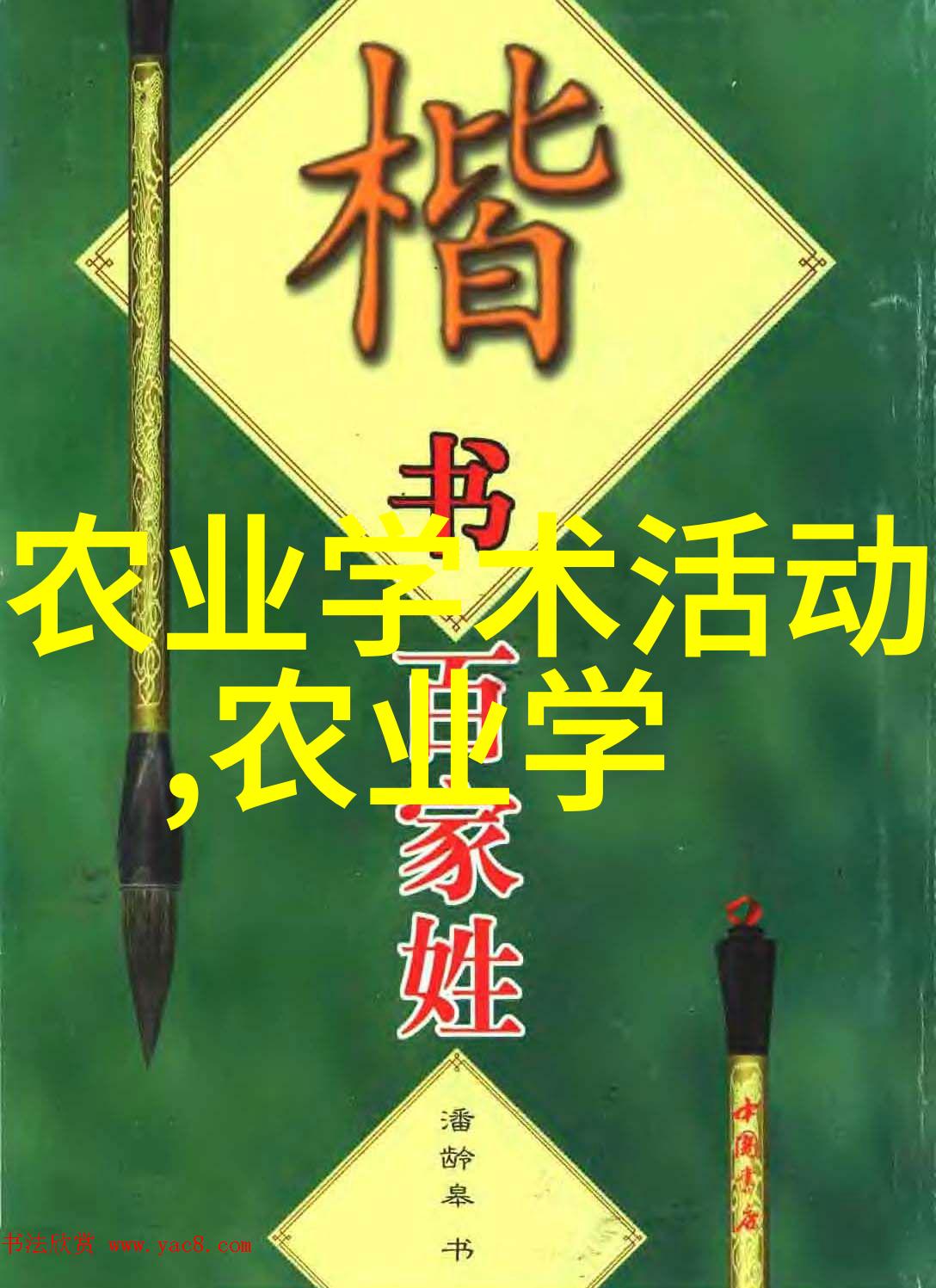 CCTV-1新闻联播迈好第一步见到新气象万建民立志打赢种业翻身仗