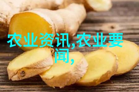 高效的土鸡饲料配方与喂食技巧解析