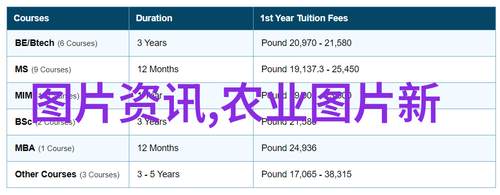 白玉蜗牛养殖技术全解析从繁殖到饲养的每一步秘诀