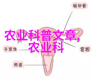 找收药材的厂家我的大冒险