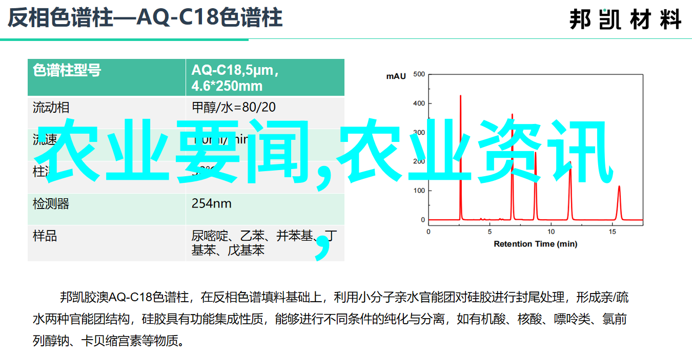 室内外都能栽适合家庭养护的苗木种类