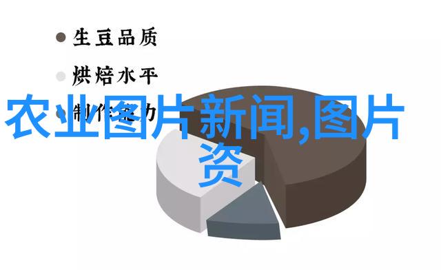 十七岁日本电影免费完整版BD-青春未央十七岁的梦想与追逐