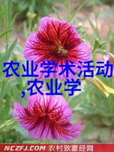 活塞的节奏从蒸汽机器到现代动力系统