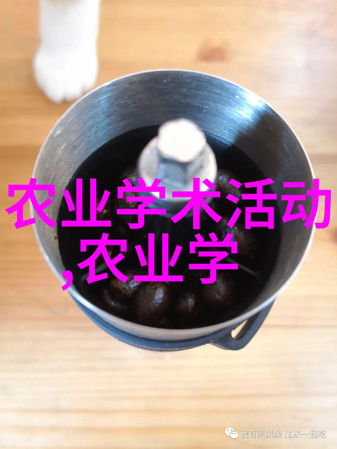 首长的新生活重生后的小媳妇篇