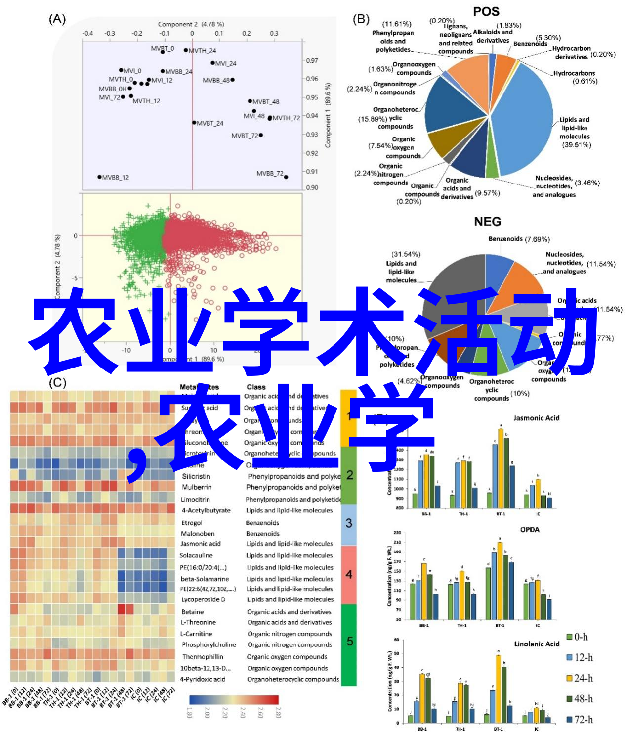 家庭之花盆景中的生命绘卷