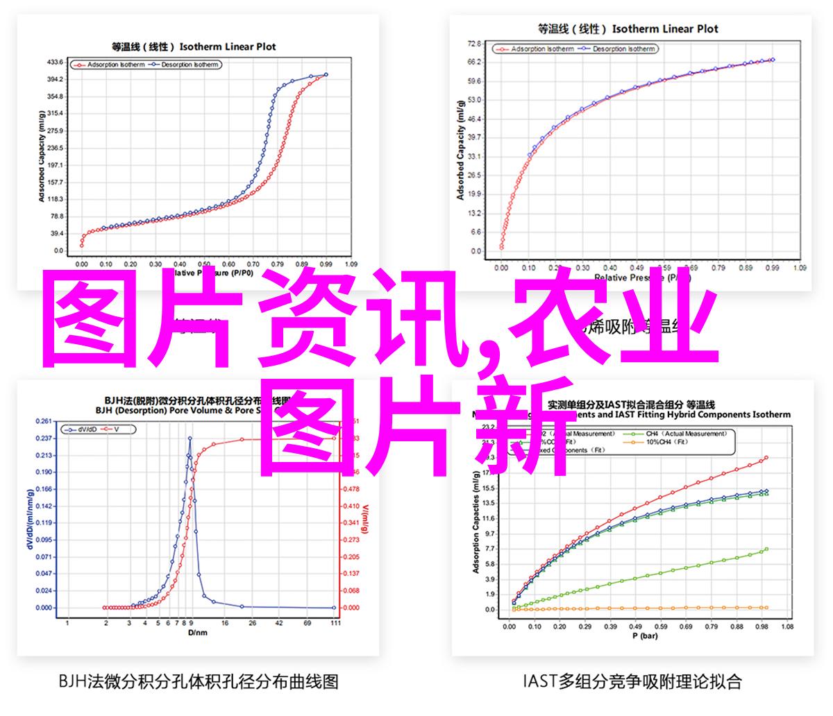 6月蜜蜂的分蜂之谜翩翩起舞的黄金时光