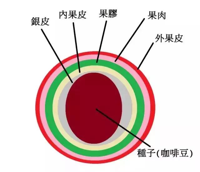 南美白对虾水泥池养殖在农村未来10大暴利行业中的自然运作要点