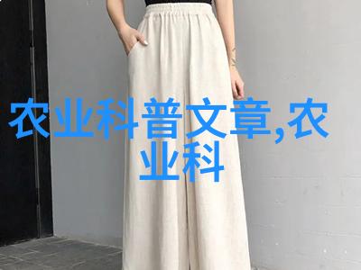 在不同季节如何调整白玉蜗牛的营养供给策略