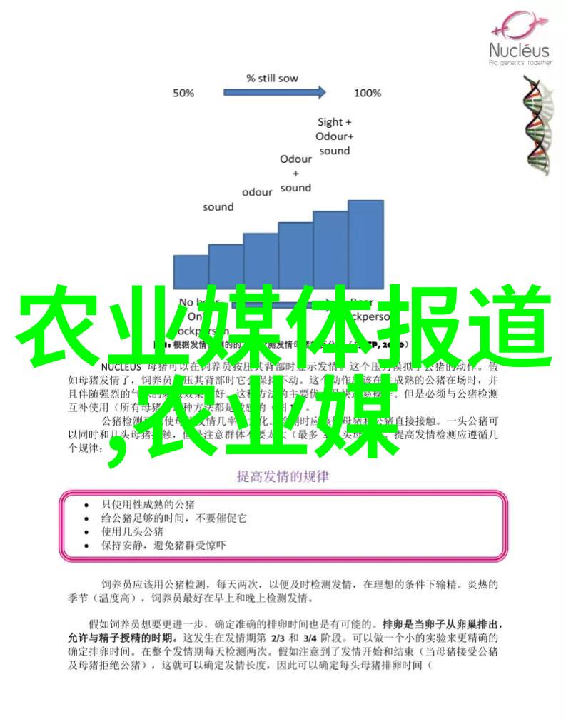 蜜蜂的双王繁殖法新手养蜂技术之对偶美学