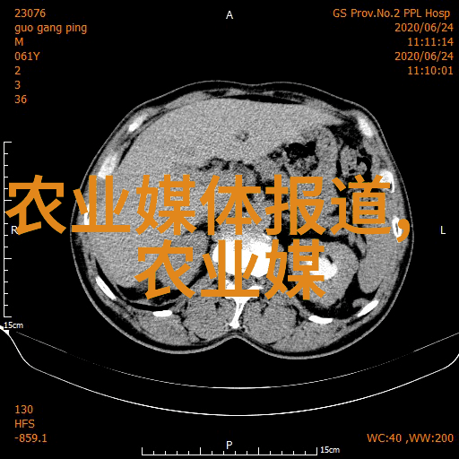 捻桃汁我家老宅的秘密甜品