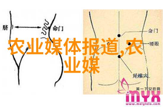 国家最新防疫二十条规定我来告诉你这抗疫新规都有啥