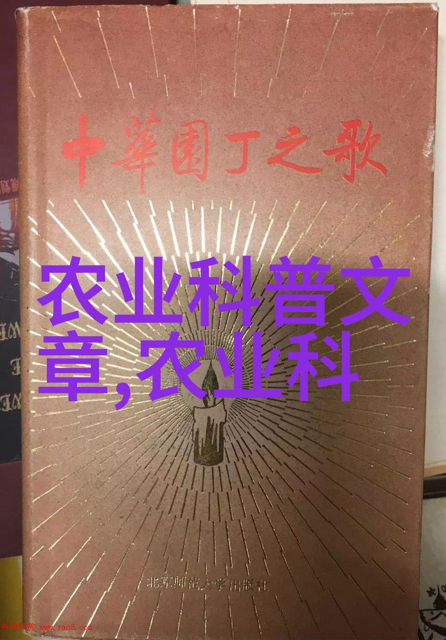 女孩读大专选择哪些热门专业确保稳健就业机会