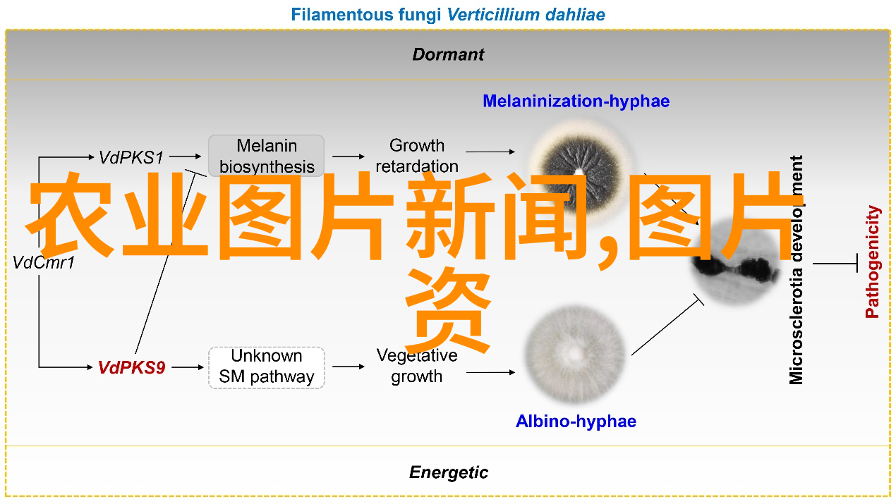 羊群的金色羽翼2022年养殖补贴之谜