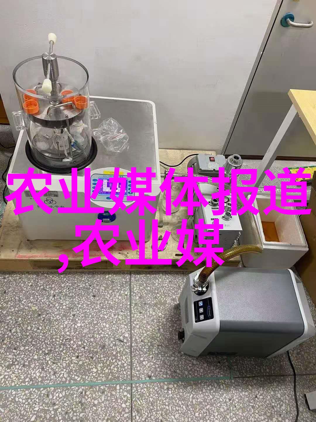 儿子比老公大晚的秘密