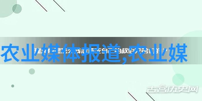 蚂蚱养殖技术研究探索高效繁育方法与生态可持续性策略