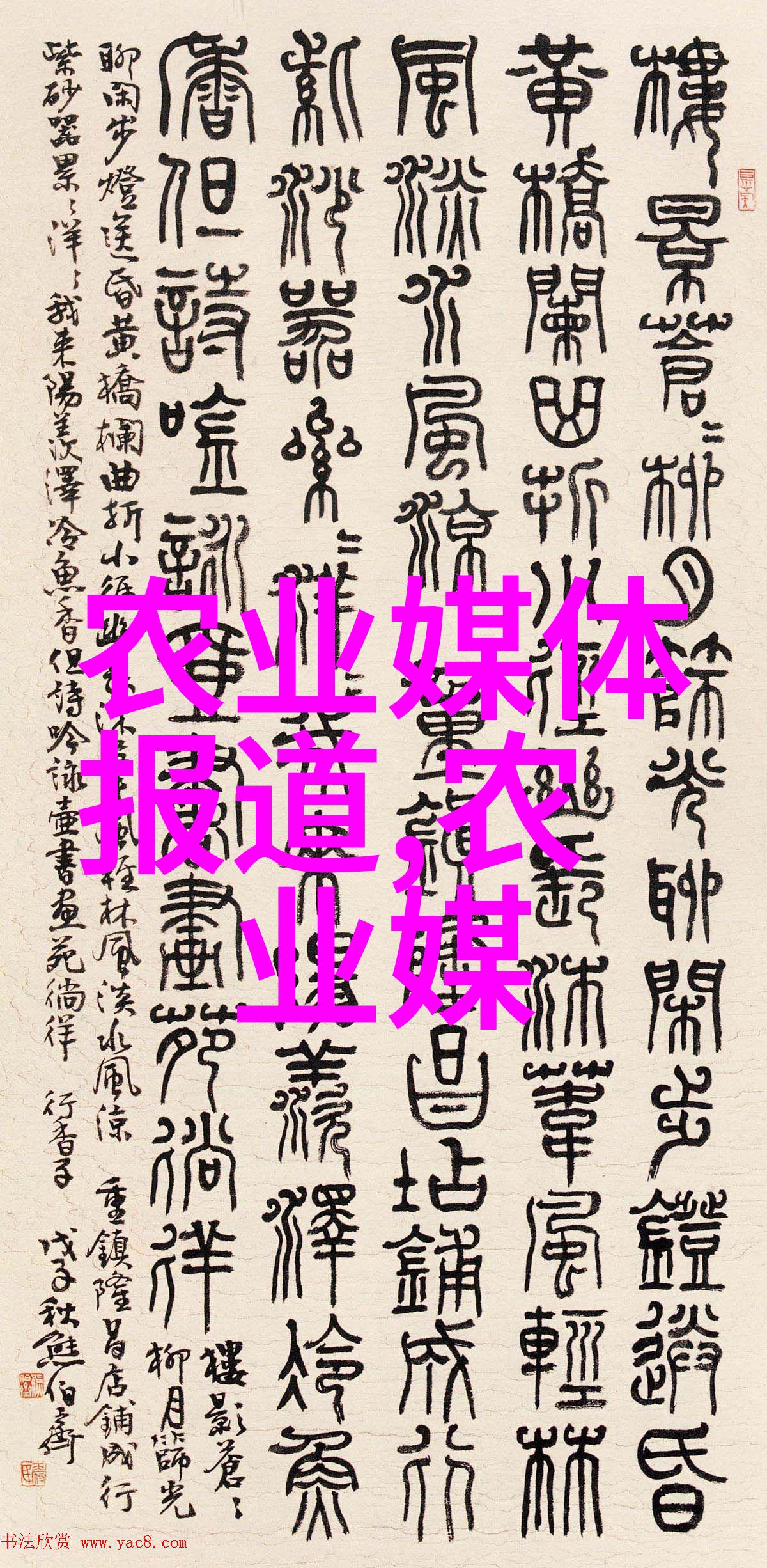 在遥远的南美白对虾淡水养殖之地一个关于挣钱高峰的故事悄然浮现对于那些渴望财富增长追求梦想生活的小伙伴