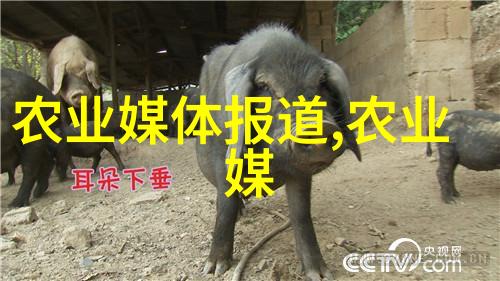 刘永好家族如何防治仔猪水肿病探索其辨证防治之道