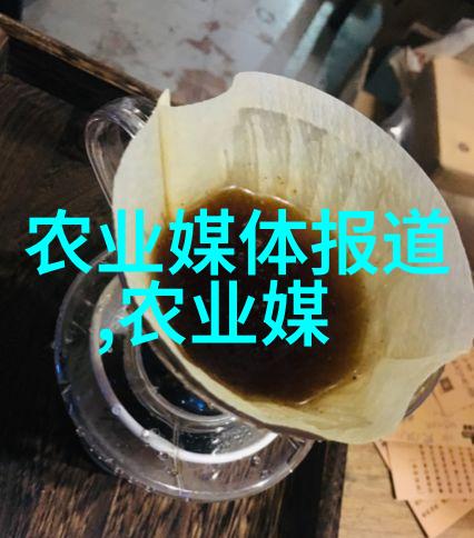 食用配料与搭配原则提升饮用体验的秘诀