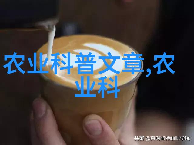 保存美丽瞬间拍摄优雅园林景色的小贴士与技巧