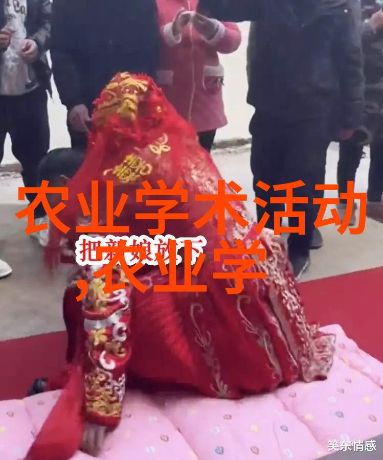 粮油作物种植我来告诉你如何让自己的菜园子里长出香脆的玉米和金黄的花生