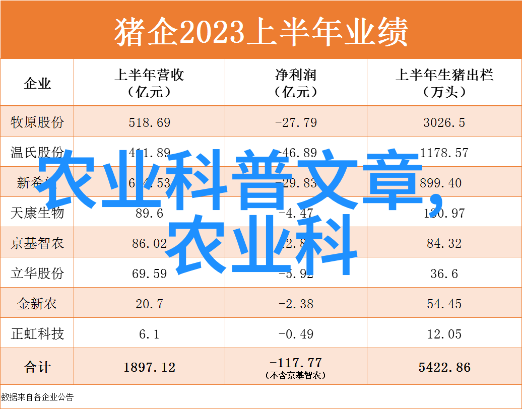 消费者权益保护在新版民法典中的实践指南