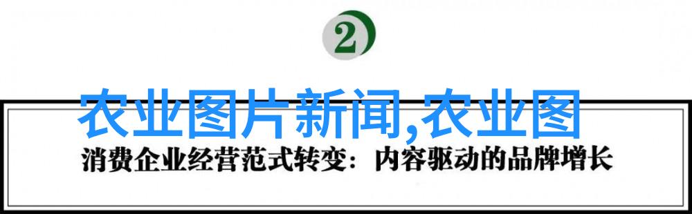 农村种植什么收入最快俺们这儿种大白菜更是赚得盆满钵满