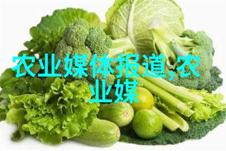 一万元能搞什么养殖咱还得仔细想想