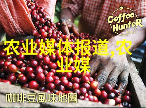 黑茶的真相好比天上星辰明亮而神秘关于茶叶的资料中它以独特的韵味吸引着寻味者而是否真的如其所言那又是一