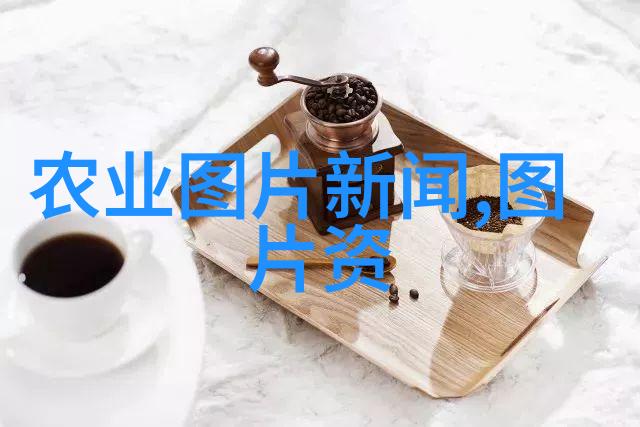 品味时光探索茶文化的精髓