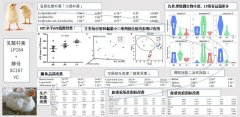 研究揭示抗生素替代品复合益生菌在肉鸡饲粮中