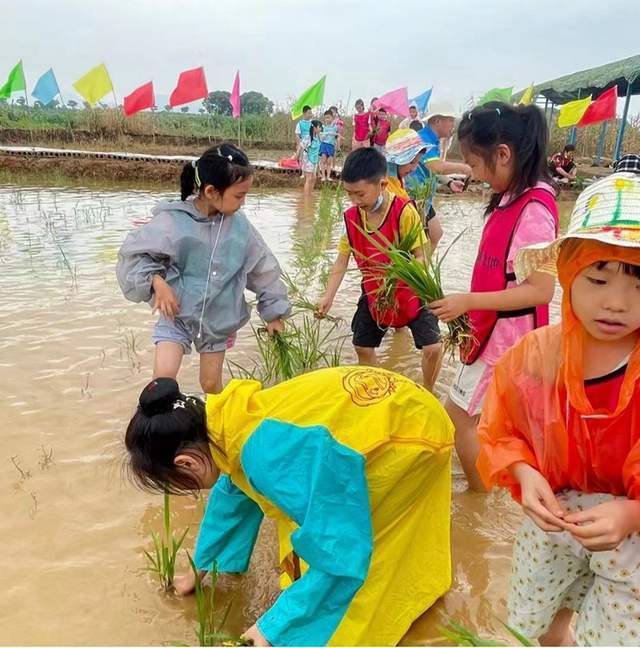 科普农业知识_农业科普文章_农业科普知识内容/