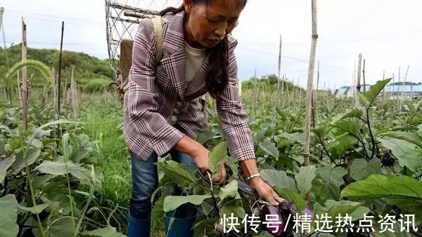 鍐滀笟鏂伴椈_鍐滀笟瑕侀椈鏄粈涔坃鍐滀笟瑕侀椈/