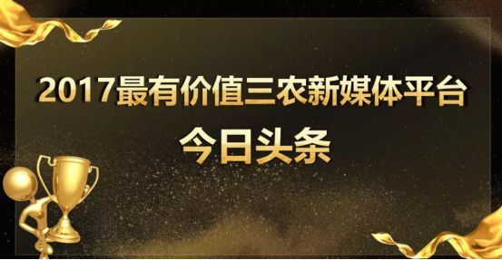 鍐滀笟鎶ラ亾濯掍綋鎬庝箞鍐檁鍐滀笟濯掍綋鏈夊摢浜沖鍐滀笟濯掍綋鎶ラ亾/