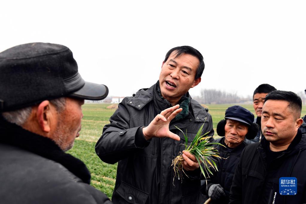 鍐滀笟鍥剧墖鏂伴椈_鏂伴椈鍐滀笟鍥剧墖绱犳潗_鏂伴椈鍐滀笟鍥剧墖鍗￠€?/