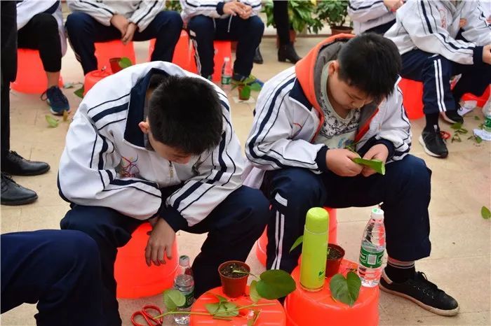 鍐滃娲诲姩鏈変粈涔坃瀛︽湳鍐滀笟娲诲姩鍖呮嫭鍝簺_鍐滀笟瀛︽湳娲诲姩/