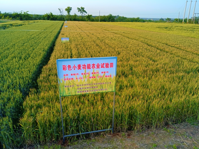 学术沙龙活动主题_农业学术活动_爱学术官网白条活动/