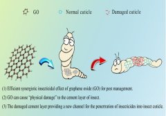 粮食作物害虫监测与控制团队揭示氧化石墨烯对