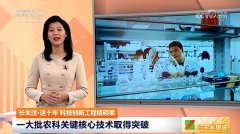 CCTV-17 这十年科技创新工程结硕果一大批农科关键