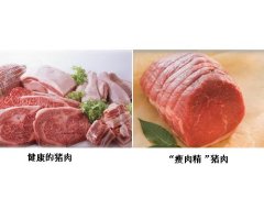 中国科学院带农业生态研究所揭秘瘦肉精真相