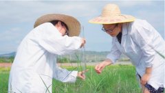 农民日报 南繁硅谷焕新机 智慧种业正当时