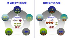 我所科研成果入选2012年度中国科学十大进展-