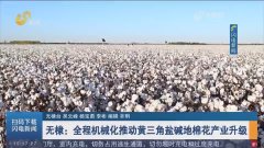 闪电新闻无棣全程机械化推动黄三角盐碱地棉花