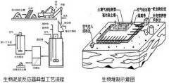 微生物捍卫土壤小战士----中国科学院带农业生态