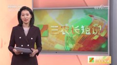 CCTV-17 三农长短说长关注受冻的麦田咋样了十几公