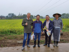 赵开荣一行到当阳飞翔米业有限责任公司调研