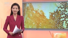 CCTV-17 三农长短说长关注丰收中国 北京 从采集到