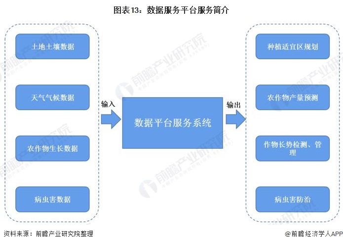 图表13：数据服务平台服务简介/